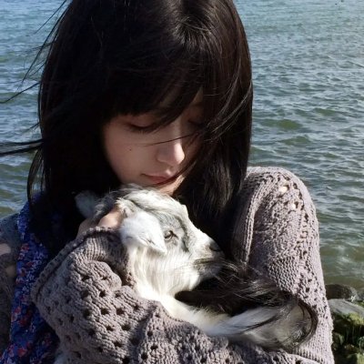 半岛物语 海报