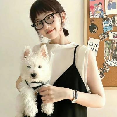 龙仁情书 海报